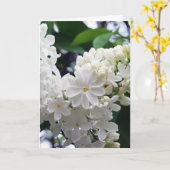 Blanco Lila Kaart (Gele Bloem)