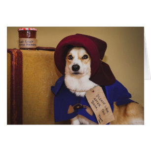 Blanco Paddington Corgi-kaart