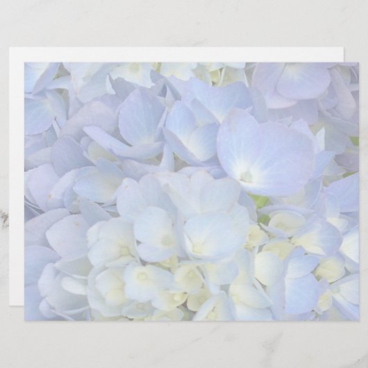 Blanco papier voor lichte blauwe hydrangea-bruilof (Voorkant / Achterkant)