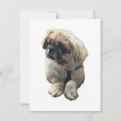 Blanco pekingese kaart met "Roze" (Voorkant)
