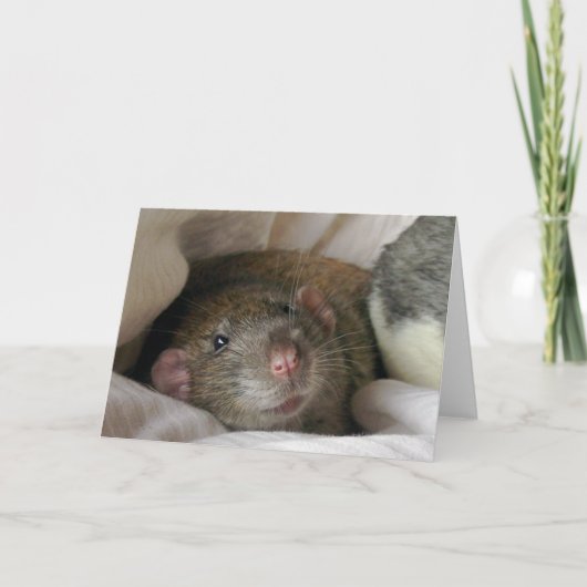 blanco rat Kaart (Voorkant)