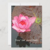 blanco roze waterlib kaart (Voorkant)