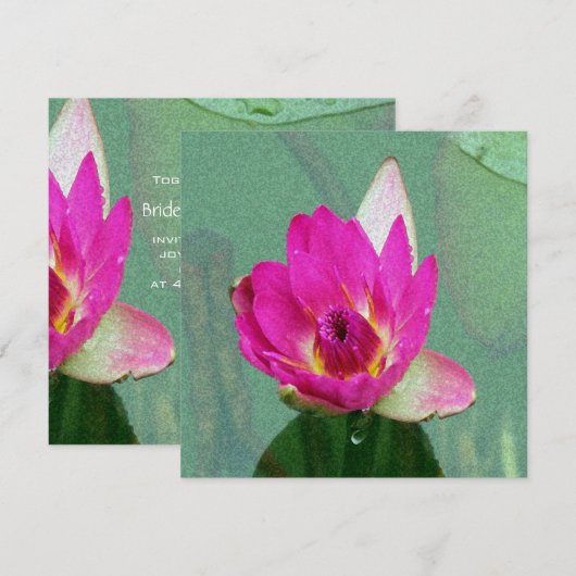 blanco roze waterlib kaart (Voorkant / Achterkant)