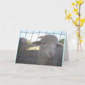 Blanco schapenbriefkaarten kaart (Gele Bloem)