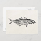 blanco Sjabloon van de schelpdiervisserij Briefkaart (Voorkant / Achterkant)