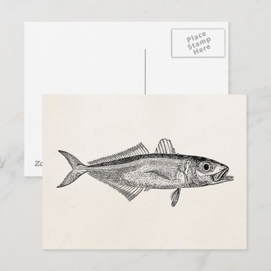 blanco Sjabloon van de schelpdiervisserij Briefkaart (Voorkant / Achterkant)