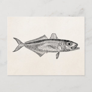  blanco Sjabloon van de schelpdiervisserij Briefkaart