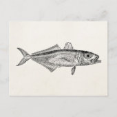 blanco Sjabloon van de schelpdiervisserij Briefkaart (Voorkant)