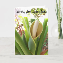 Blanco sympathiekaart met Philodendron bloom Kaart