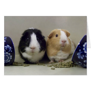 Blanco "Tea-Time"-kaart