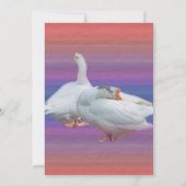 blanco uitnodiging, alle doeleinden kaart (Achterkant)