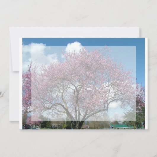 blanco uitnodiging, kersenbloesem kaart (Voorkant)