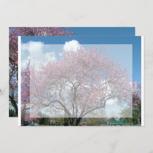 blanco uitnodiging, kersenbloesem kaart (Voorkant / Achterkant)