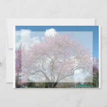 blanco uitnodiging, kersenbloesem