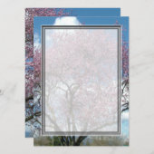 blanco uitnodiging, kersenbloesem kaart (Voorkant / Achterkant)