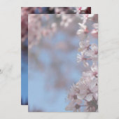 blanco uitnodiging, kersenbloesem kaart (Voorkant / Achterkant)