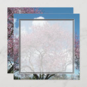 blanco uitnodiging, kersenbloesem kaart (Voorkant / Achterkant)