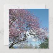 blanco uitnodiging, kersenbloesem kaart (Achterkant)