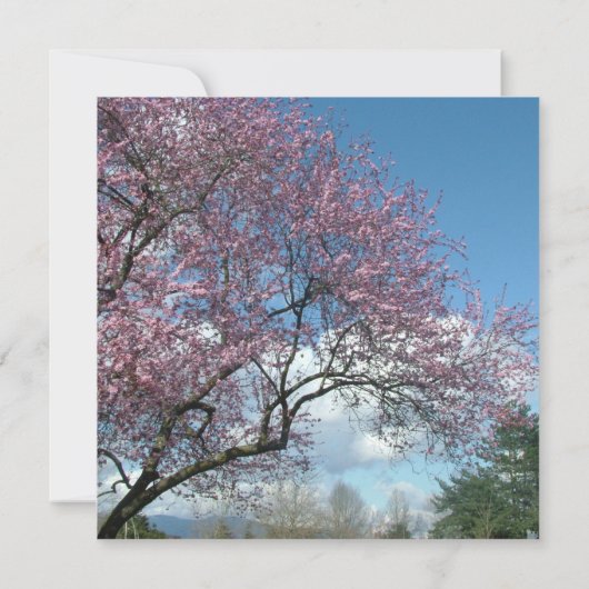 blanco uitnodiging, kersenbloesem kaart (Achterkant)