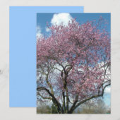 blanco uitnodiging, kersenbloesem kaart (Voorkant / Achterkant)