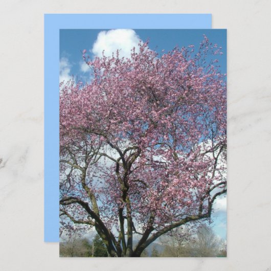 blanco uitnodiging, kersenbloesem kaart (Voorkant / Achterkant)