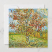 blanco uitnodiging, roze roze bleekboom in bloesem kaart (Achterkant)