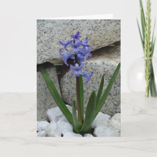 Blanco ventilator Kaart (Voorkant)