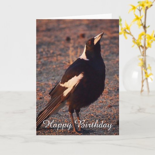Blanco verjaardagskaart - Australian Magpie Kaart (Gele Bloem)