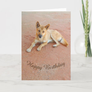 Blanco verjaardagskaart - dingo kaart