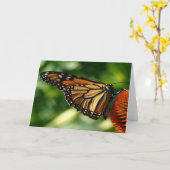 Blanco vlinder kaart (Gele Bloem)