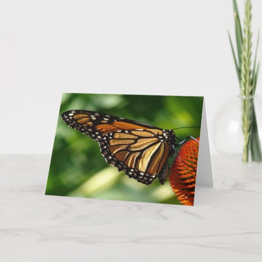 Blanco vlinder kaart (Voorkant)