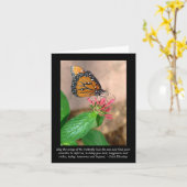 Blanco vlinderbloemkaart voor vlinder kaart (Gele Bloem)