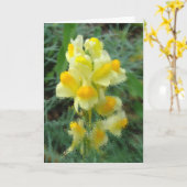 Blanco welkom op lentekaart kaart (Gele Bloem)