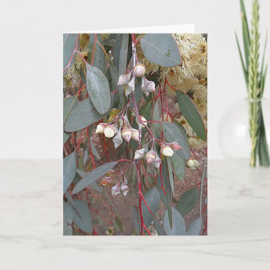 Blanco Wenskaart - gomnoten Kaart (Voorkant)