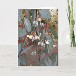 Blanco Wenskaart - gomnoten Kaart