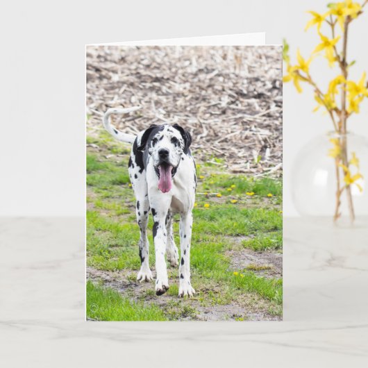 Blanco Wenskaart: groot gesteente Kaart (Gele Bloem)