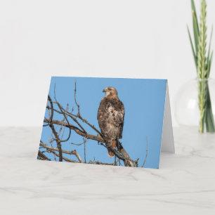 Blanco Wenskaart Hawk Kaart