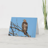 Blanco Wenskaart Hawk Kaart (Voorkant)