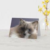 Blanco Wenskaart Kaart (Gele Bloem)