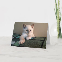 Blanco Wenskaart Kaart