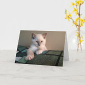 Blanco Wenskaart Kaart (Gele Bloem)