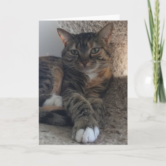 Blanco Wenskaart Kaart (Voorkant)