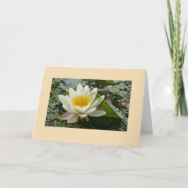 Blanco Wenskaart Kaart