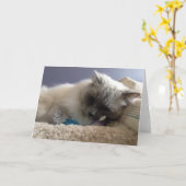 Blanco Wenskaart Kaart (Gele Bloem)