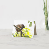 Blanco Wenskaart met boomstructuur Kangaroo Kaart (Voorkant)