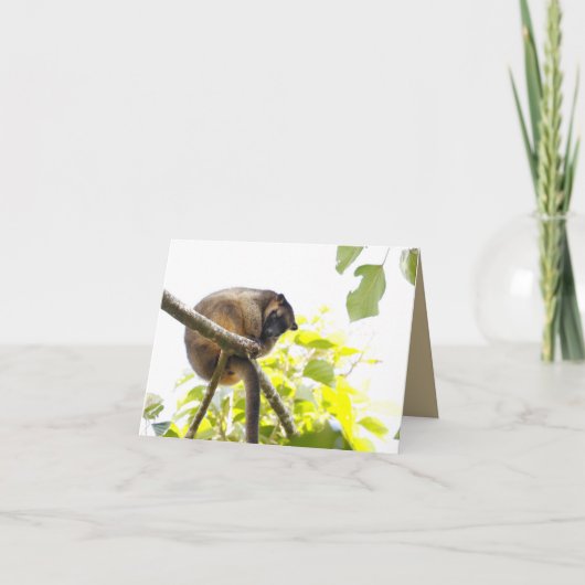 Blanco Wenskaart met boomstructuur Kangaroo Kaart (Voorkant)