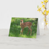 Blanco Wenskaart mislukt Kaart (Gele Bloem)