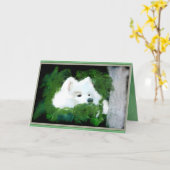 Blanco Wenskaart van de Douane; Samoyed in de tuin Kaart (Gele Bloem)