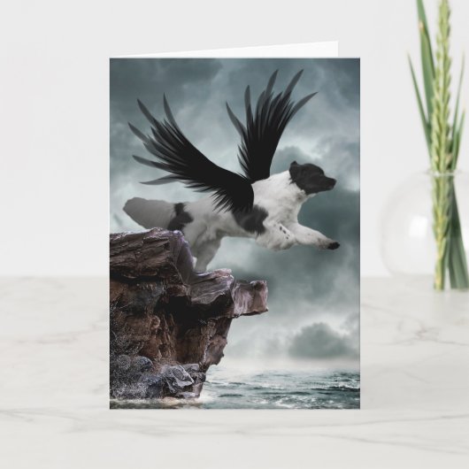 blanco wenskaart van Ocean Guardian Kaart (Voorkant)