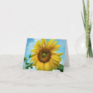 Blanco wenskaart zonnebloem kaart